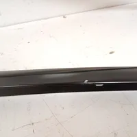 Tesla Model 3 Dachzierleiste 108352001D