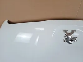 Peugeot 508 Vano motore/cofano 