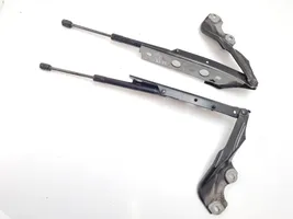 Audi A6 S6 C7 4G Engine bonnet/hood hinges 4G8823302E