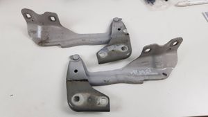 Ford Edge II Engine bonnet/hood hinges FT4BR16800A