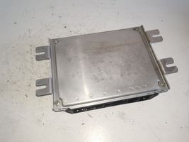 KIA Rio Sterownik / Moduł ECU 391102X046