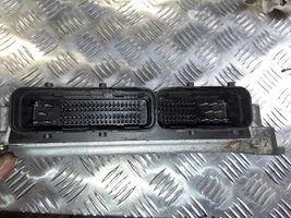 Renault Vel Satis Sterownik / Moduł ECU 8972406917