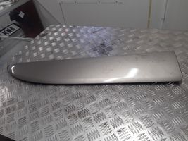 Opel Vivaro Rivestimento della portiera anteriore (modanatura) 808200752