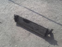 Renault Master III Intercooler radiator 144960015R