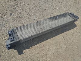 Renault Master III Intercooler radiator 