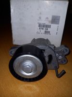 Peugeot 206 Napinacz paska wielorowkowego / Alternatora 9652046680