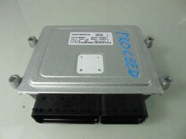 KIA Ceed Sterownik / Moduł ECU 954402DND0