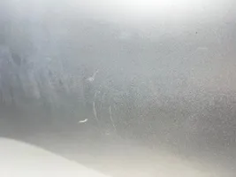 Skoda Fabia Mk3 (NJ) Drzwi tylne 