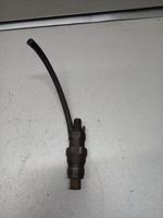 Citroen C25 Fuel injector 