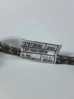 Fiat Ducato Negative earth cable (battery) 1376738080