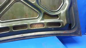 Oldsmobile Omega Tailgate/trunk/boot lid 1