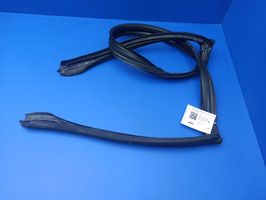 BMW Z4 E85 E86 Rubber seal front coupe door window 7023969