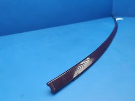 BMW 6 E63 E64 Roof trim bar molding cover E63