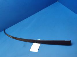 BMW 6 E63 E64 Roof trim bar molding cover E63