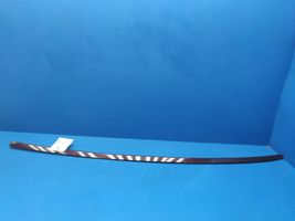 BMW 6 E63 E64 Roof trim bar molding cover E63