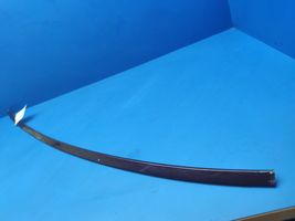 BMW 6 E63 E64 Roof trim bar molding cover E63