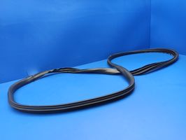 Volvo S40 Front door rubber seal S40