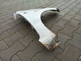 Peugeot 107 Fender 