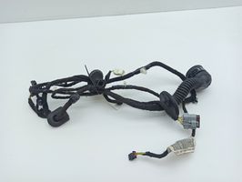 Peugeot 407 Cablaggio porta anteriore 9659703080