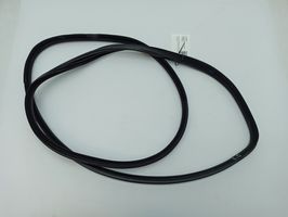 Volvo S60 Rear door rubber seal (on body) 