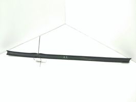 Volvo S60 Front door glass trim molding 