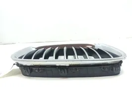 BMW 5 GT F07 Front bumper upper radiator grill 7200170