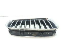 BMW 5 GT F07 Front bumper upper radiator grill 7200170