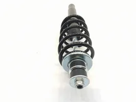 Microcar M8 Front shock absorber with coil spring 1010769