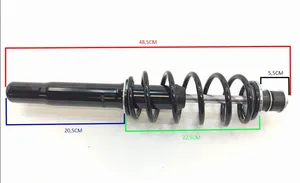 Microcar M8 Front shock absorber with coil spring 1010769