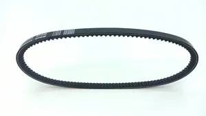 Ligier IXO Alternator belt 2440305