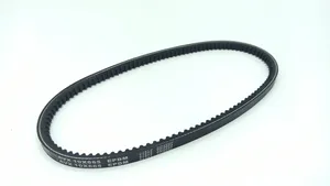 Ligier IXO Alternator belt 2440305