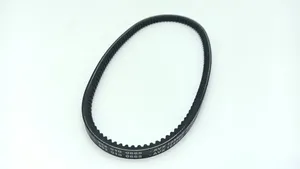 Chatenet CH46 Alternator belt 2440305