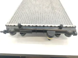 Microcar Due First Set del radiatore 1401878