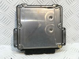 Renault Megane II Sterownik / Moduł ECU 8200462452