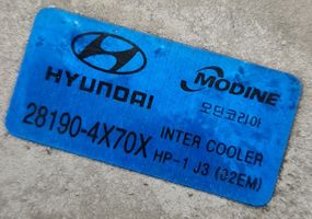 Hyundai Terracan Välijäähdyttimen jäähdytin 281904X70X