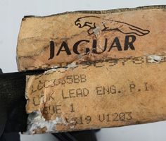 Jaguar XK8 - XKR Faisceau de fils d'injecteur de carburant LCC3335BB