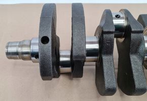 Skoda Citigo Crankshaft 