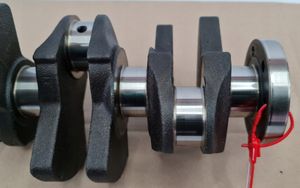 Skoda Citigo Crankshaft 