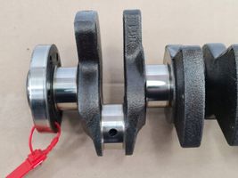 Skoda Citigo Crankshaft 