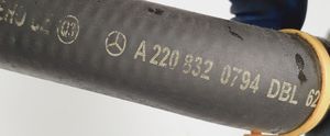 Mercedes-Benz S W220 Variklio aušinimo vamzdelis (-ai)/ žarna (-os) A2208320794