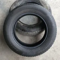 Renault Scenic I R15 summer tire 
