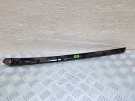 Mercedes-Benz S W221 Front door trim bar 