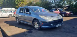 Peugeot 307 Listwa zderzaka przedniego 