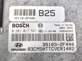 Hyundai Santa Fe Komputer / Sterownik ECU i komplet kluczy 0281017541