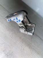 Renault Megane II Front door lower hinge 253z0