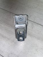 Renault Megane II Front door lower hinge 253z0