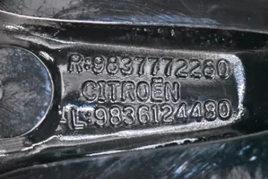Citroen DS4 19 Zoll Leichtmetallrad Alufelge 