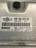 Volkswagen PASSAT B5.5 Centralina/modulo del motore 038906019ER