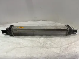 Peugeot Bipper Radiatore intercooler 2002199