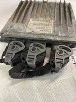 Renault Clio III Dzinēja vadības bloks 8200399038